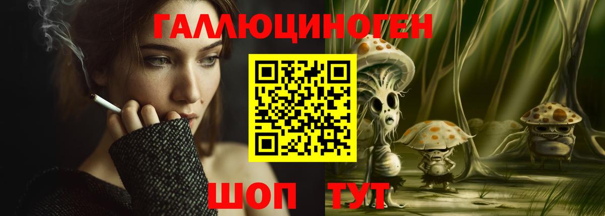 Лыткарино  Псилоцибиновые грибы Psilocybe  Вход с VPN  Псилоцибиновые грибы ЛСД 